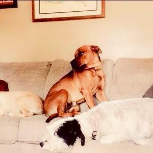 Meet your Posher, Nevaeh